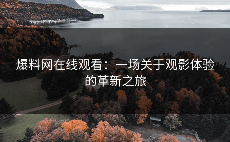 爆料网在线观看：一场关于观影体验的革新之旅